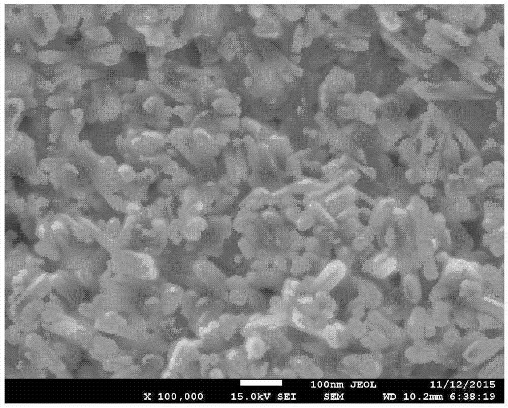 Tissue-engineered bone cartilage composite scaffold and preparation method thereof