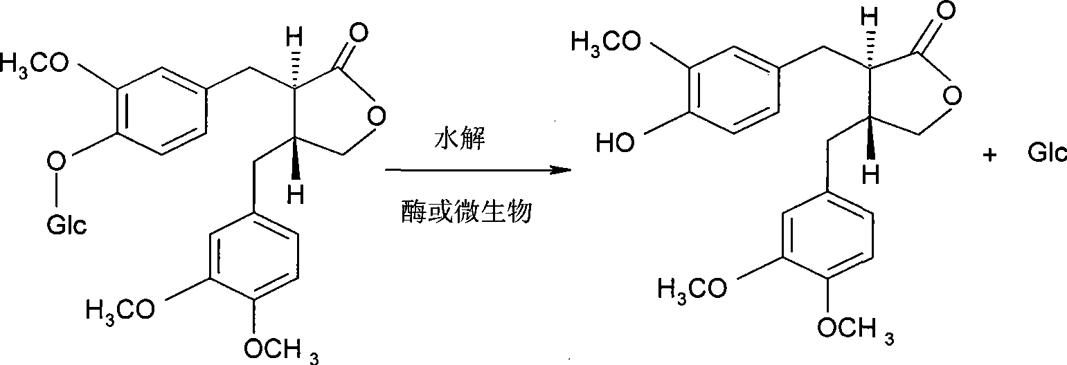 Method for preparing fructus arctii aglycone