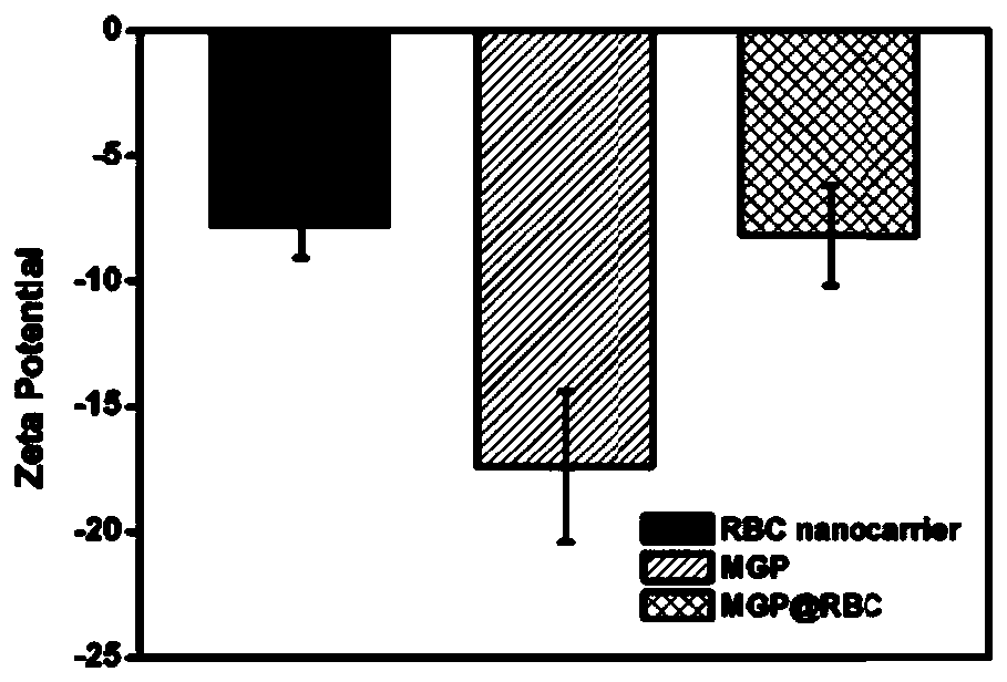 Biomimetic nanoparticles for gas production and anti-tumor activity catalyzed by bioenzymes and preparation method thereof