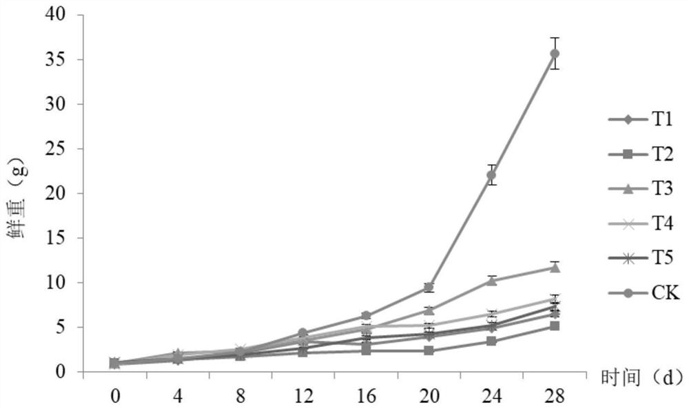 Novel process for utilizing tail water of recirculating aquaculture system