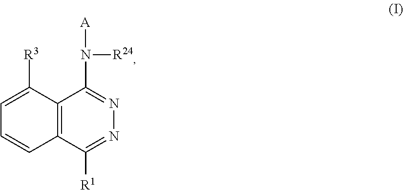 Phthalazines as potassium ion channel inhibitors