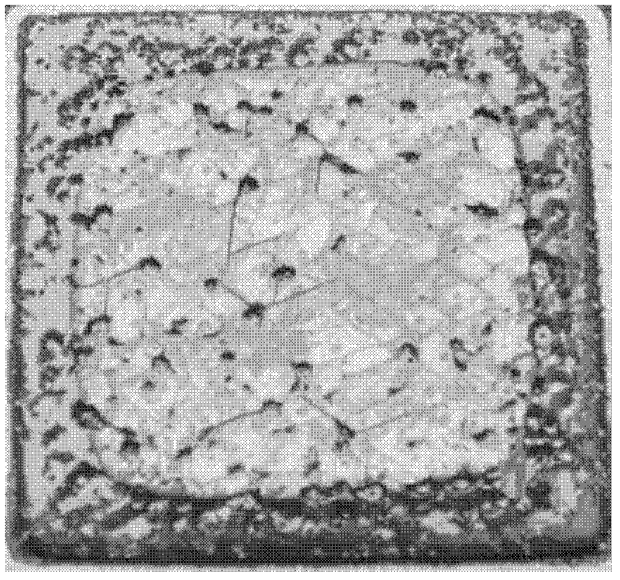 Method for growing aluminium nitride monocrystal by using physical vapor transport method