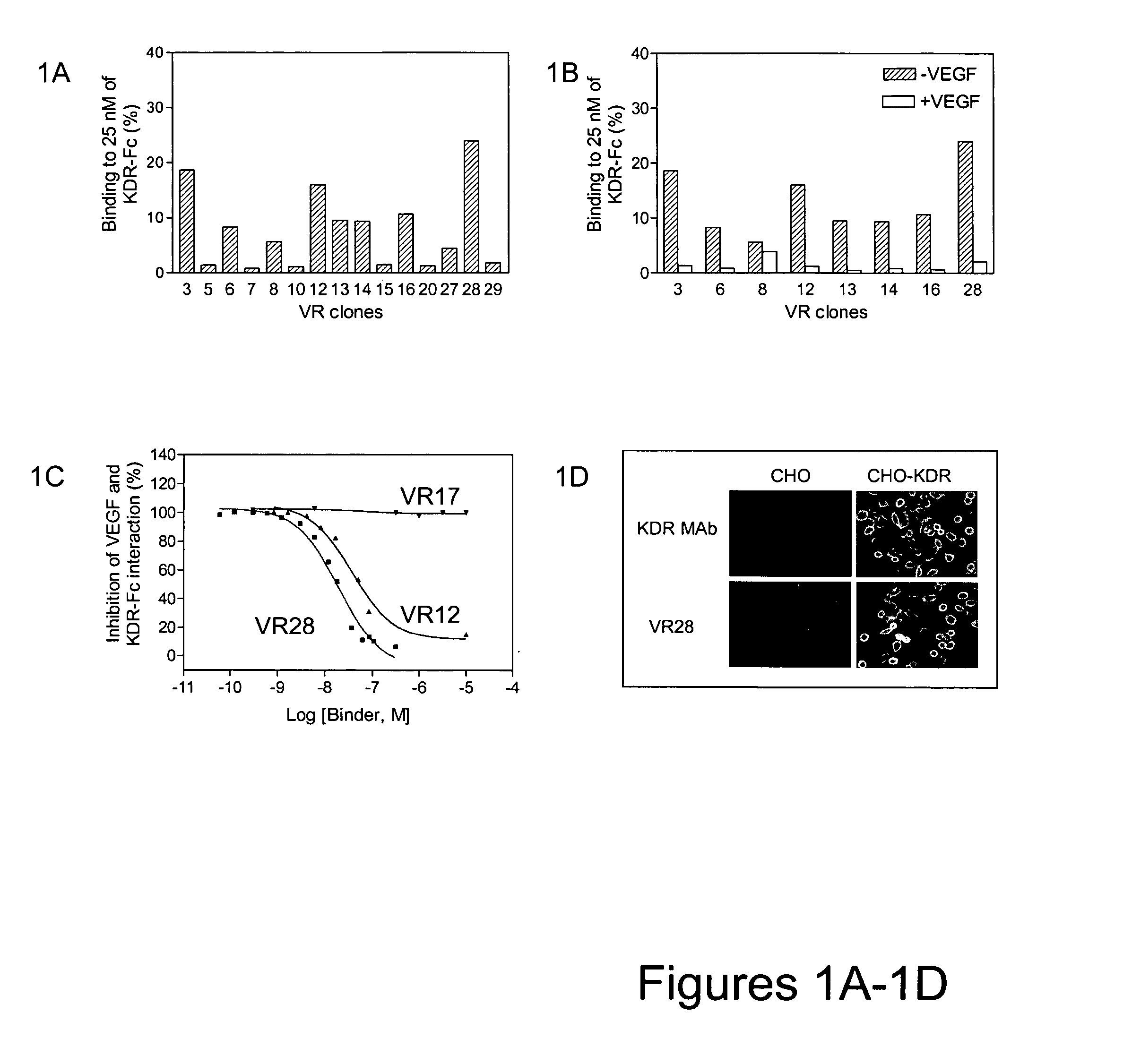 Inhibitors of type 2 vascular endothelial growth factor receptors