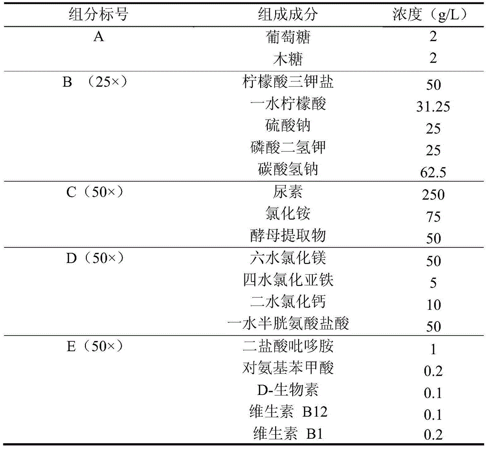 A kind of thermophilic anaerobic bacterium and the method for using it to produce ethanol