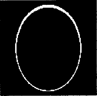 Artifact correction method based on even marker in plane echo imaging technique