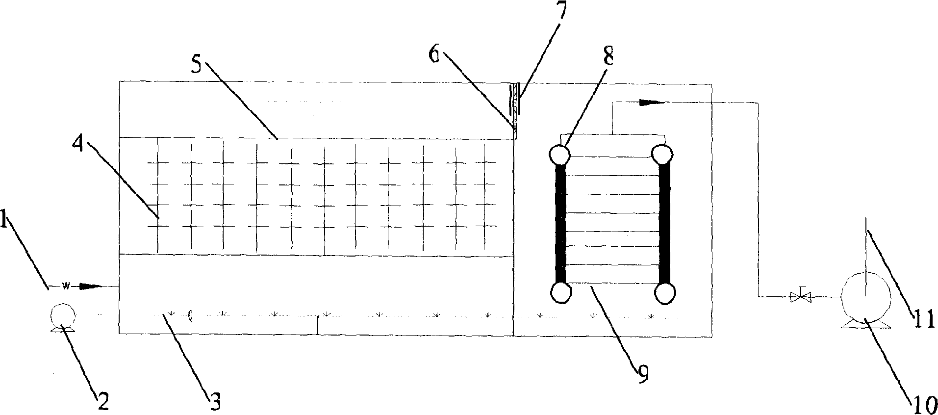 Process and apparatus for treating active dyeing waste water by white rot fungi biological membrane method