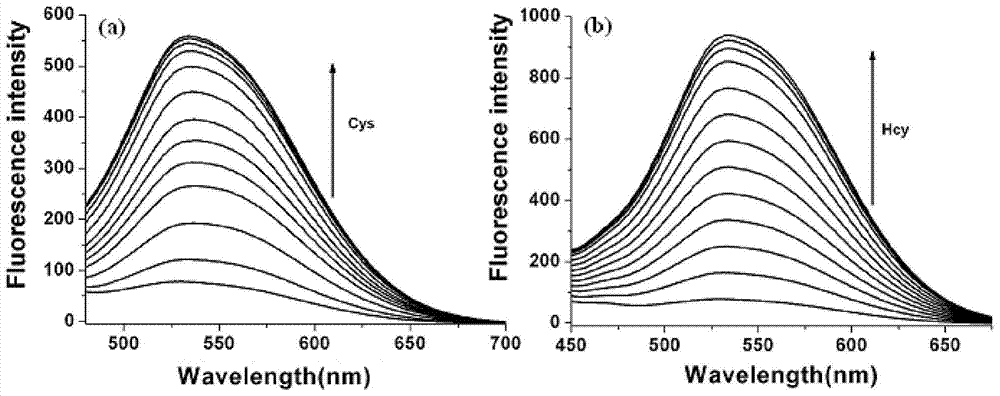 Two-photon fluorescent probe as well as preparation method and application thereof