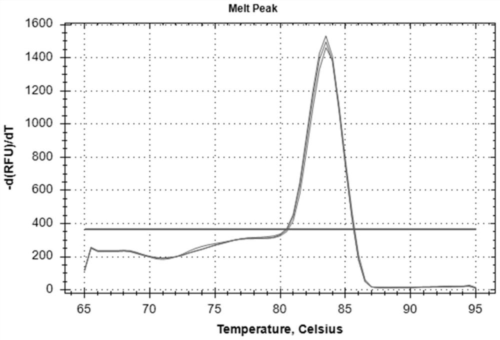 Nucleic acid molecule, PCR primer pair and kit for detecting beta-tubulin gene of trichomonad