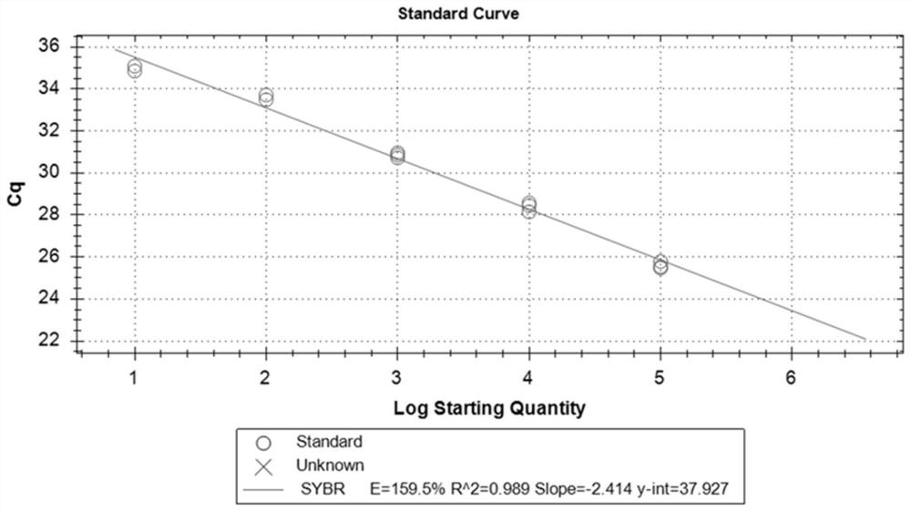 Nucleic acid molecule, PCR primer pair and kit for detecting beta-tubulin gene of trichomonad