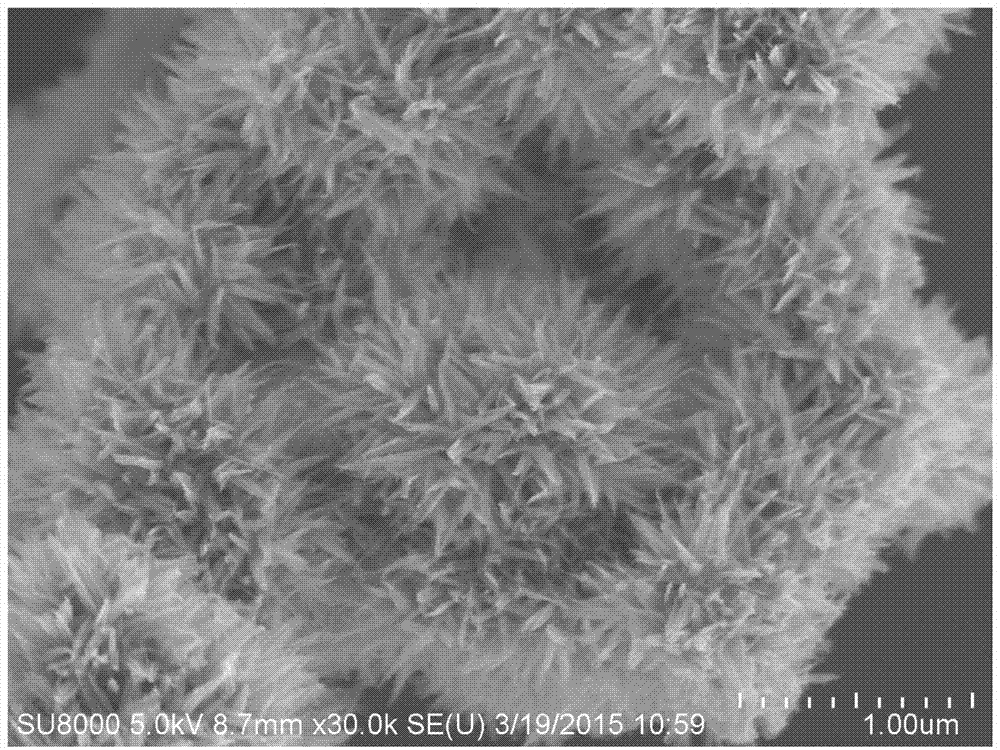 Bi2O3/BiFeO3/TiO2 nano-flower photocatalytic material and preparation method thereof