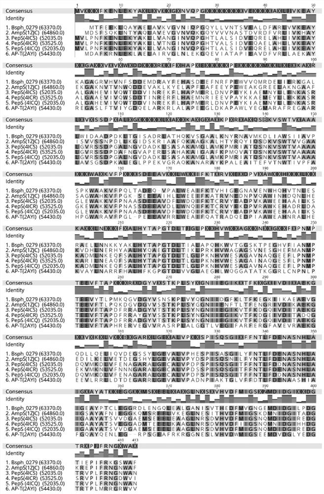 Aminopeptidase Amp0279 sourced from lysinibacillus sphaericus C3-41 as well as recombinant strain and application of aminopeptidase Amp0279