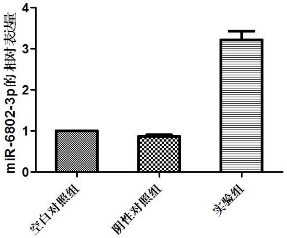 miRNA markers related to auxiliary diagnosis of myocardial fibrosis diseases and application of miRNA markers