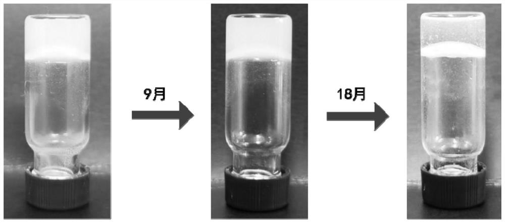 Supramolecular nucleoside hydrogel and preparation method and application thereof