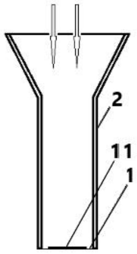 Coronavirus particle detection device