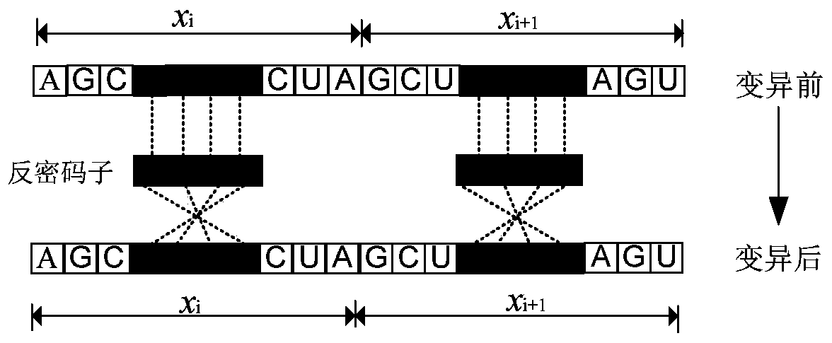 Fuel cell optimization modeling approach with adaptive genetic strategy rna-ga