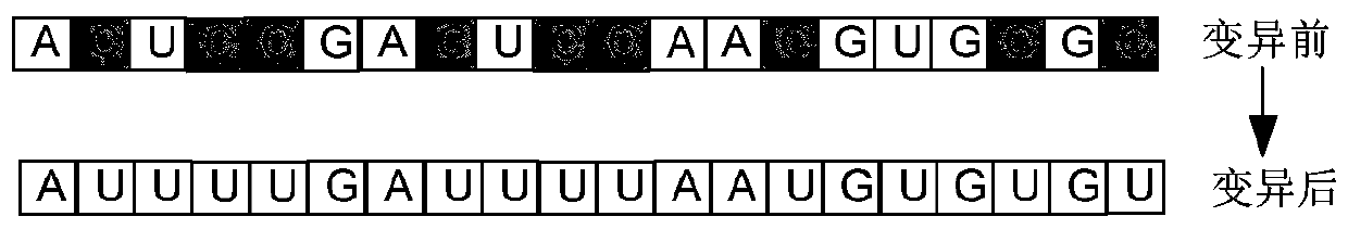 Fuel cell optimization modeling approach with adaptive genetic strategy rna-ga