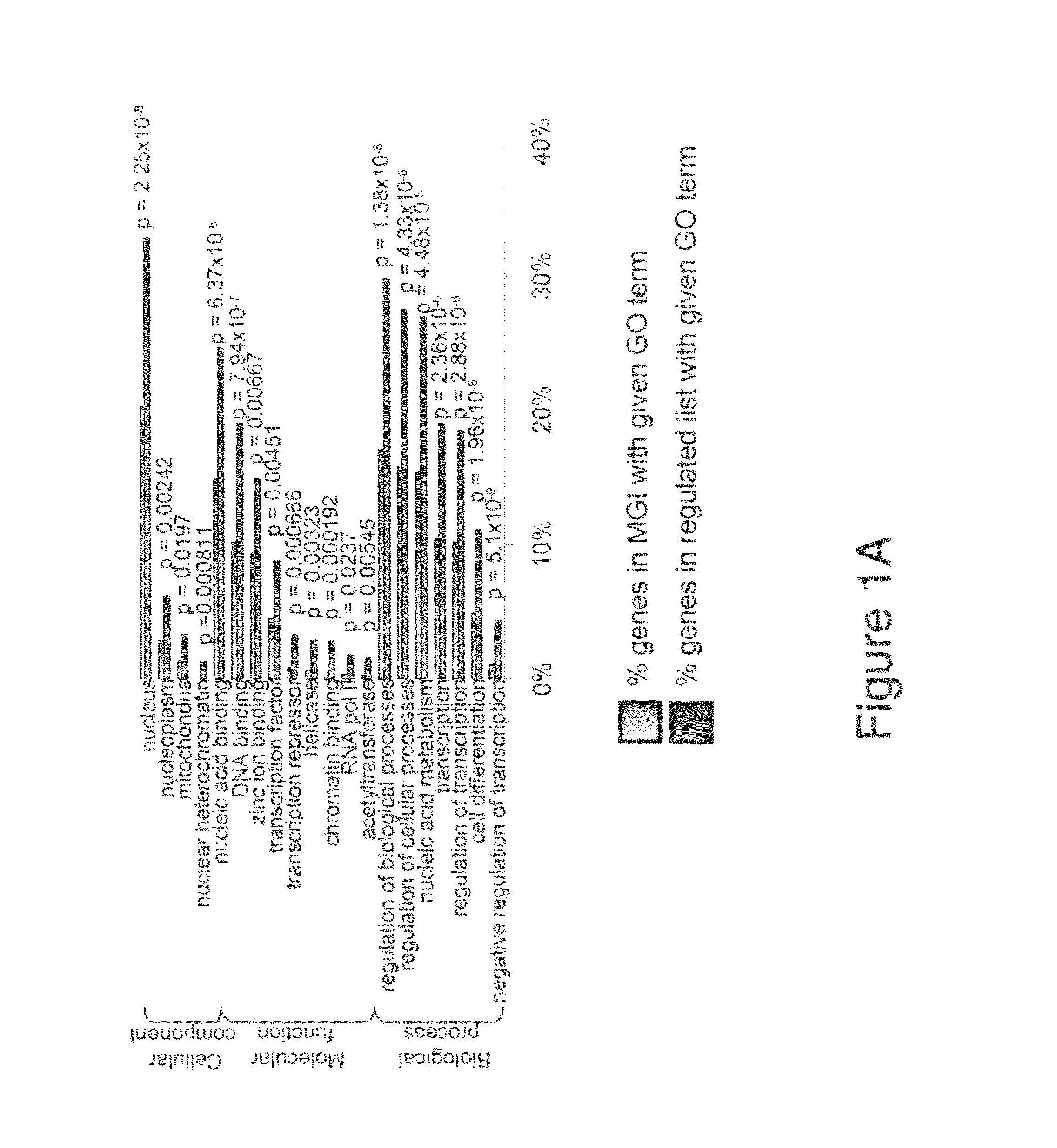 Method of increasing murine ES cell differentiation with PCL2