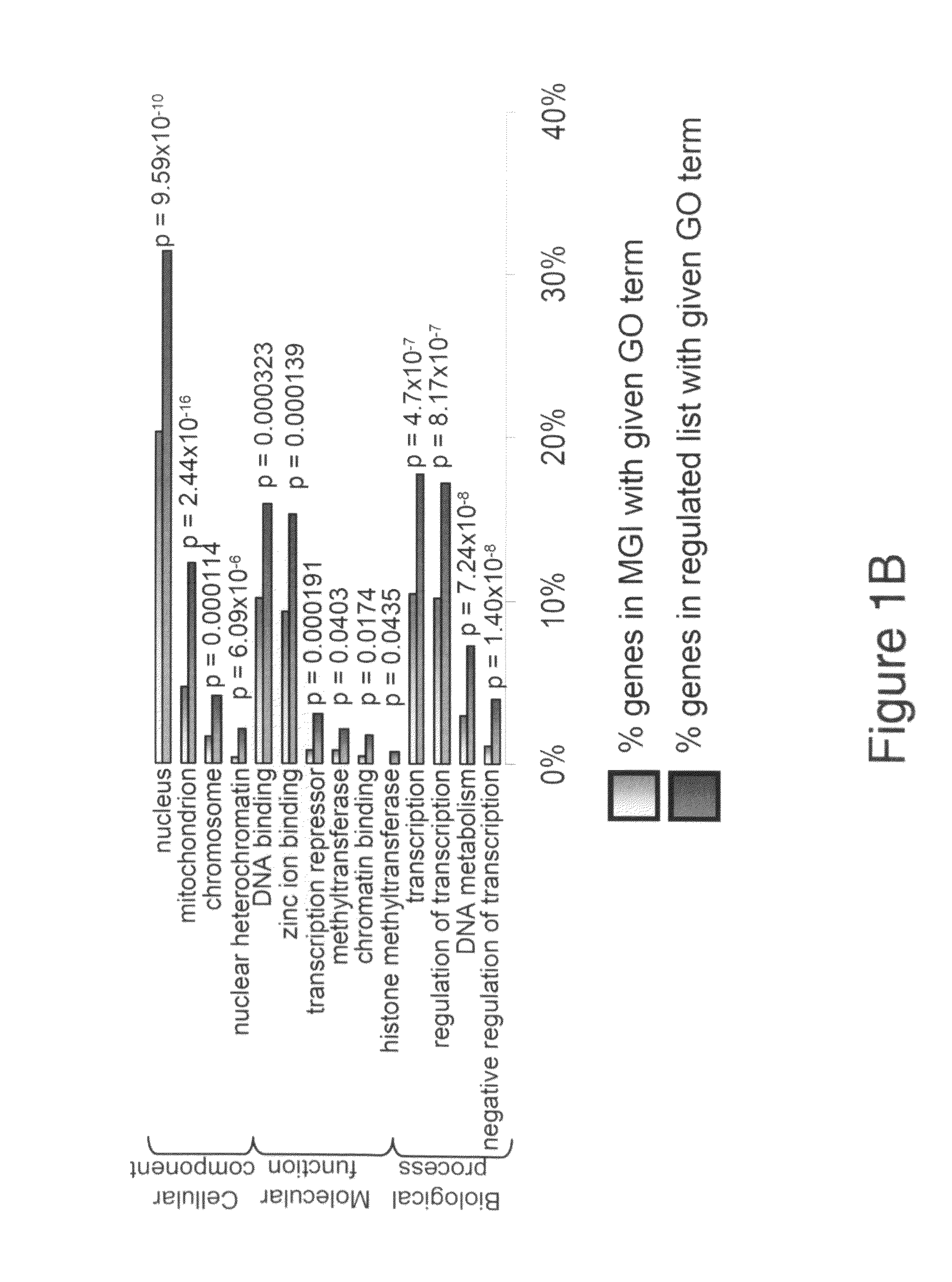 Method of increasing murine ES cell differentiation with PCL2