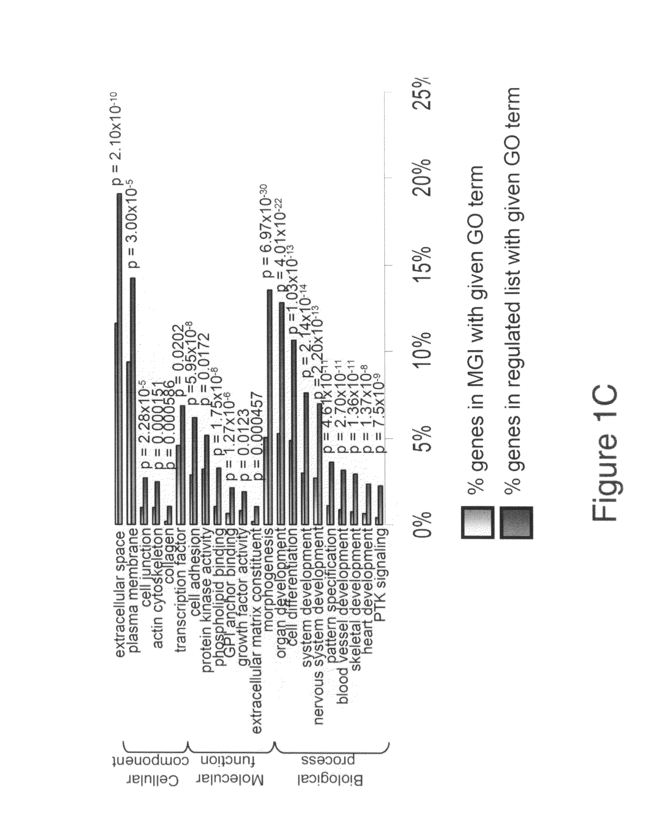 Method of increasing murine ES cell differentiation with PCL2