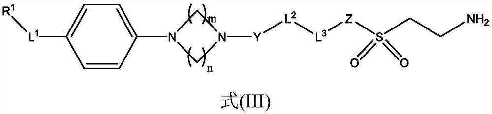 Lox inhibitors