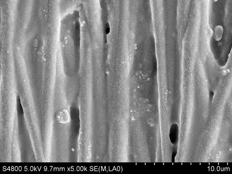 Conductive parallel fiber membrane capable of promoting rapid repair of peripheral nervous tissues and preparation method of conductive parallel fiber membrane