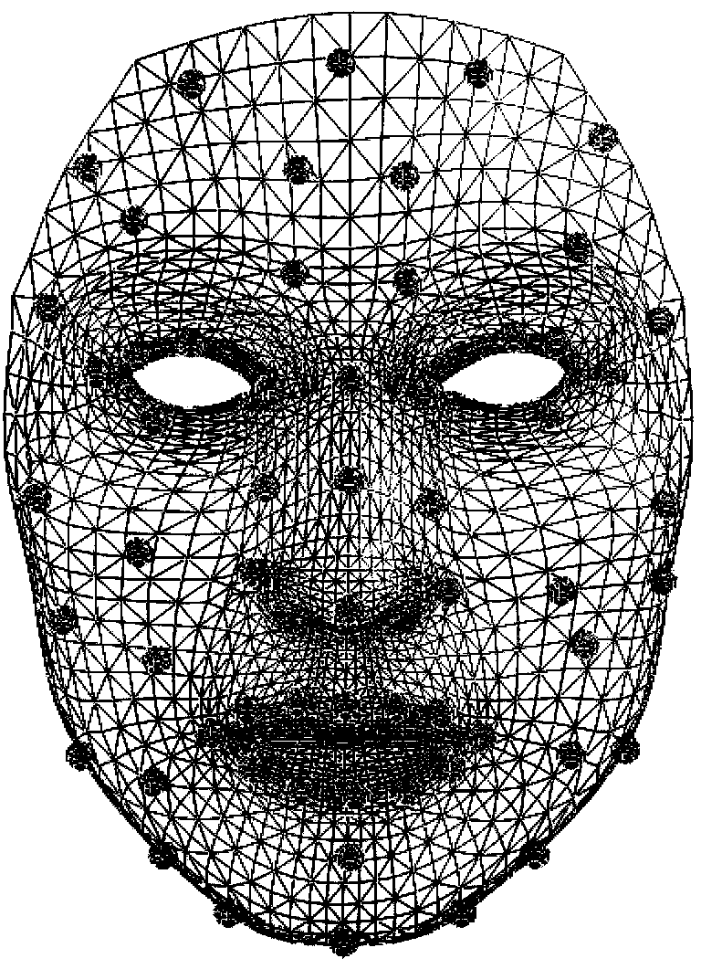 Method for redirecting and cartooning face expression on basis of radial basis function for geodesic distance