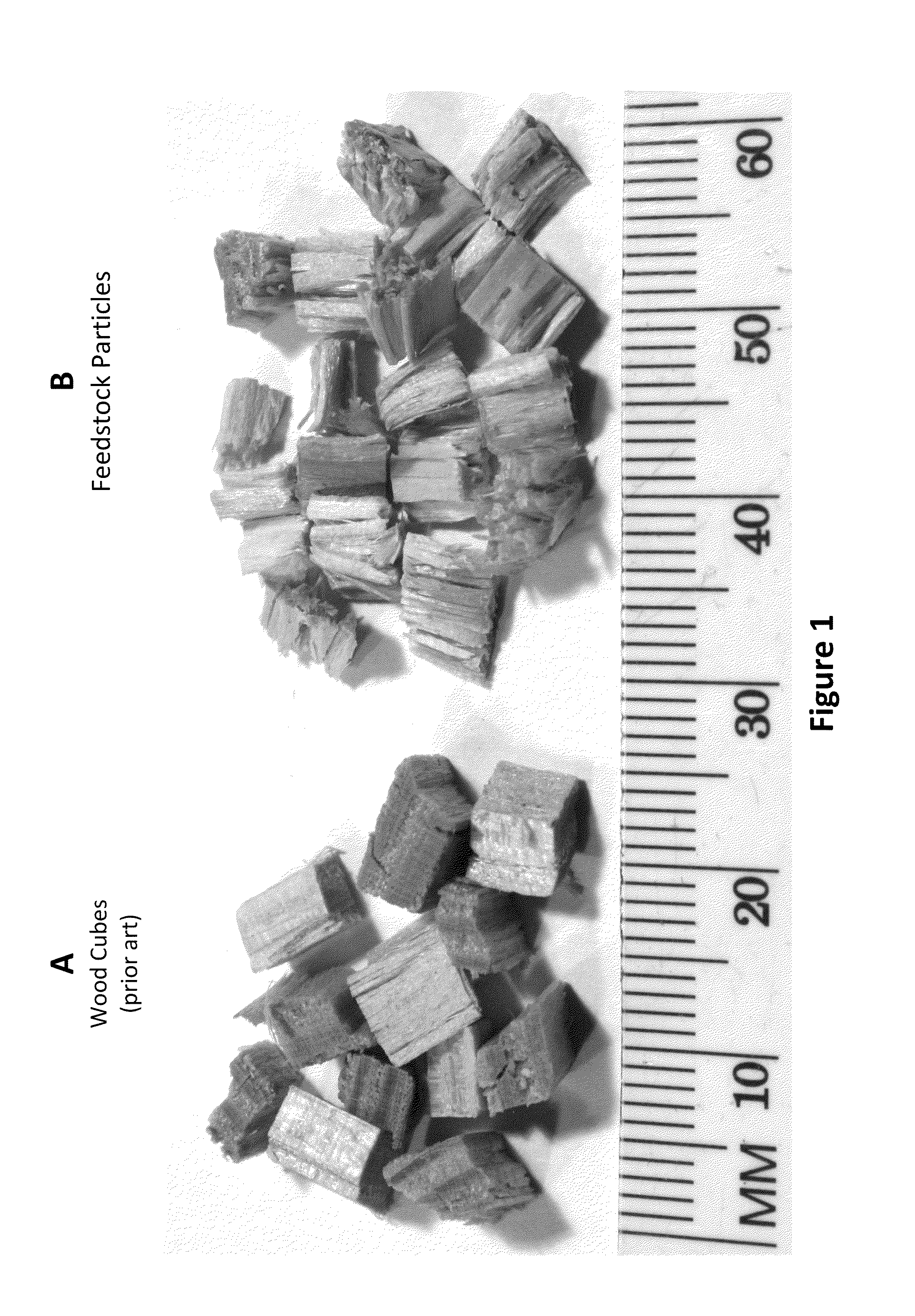 Engineered plant biomass feedstock particles