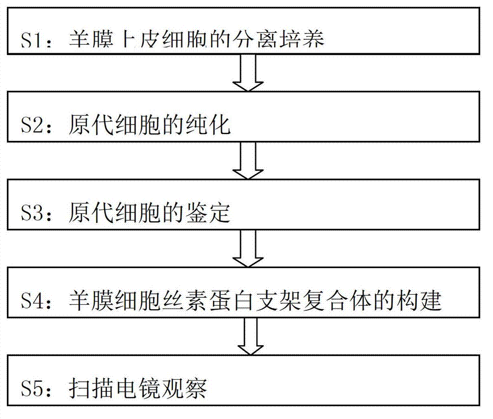 Construction method for human amniotic epithelial cells and silk fibroin support complexus