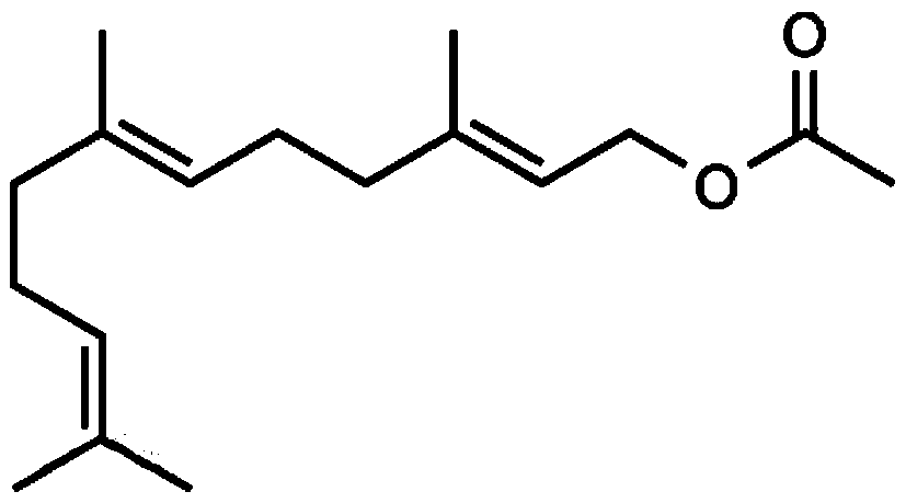 Megalurothrips usitatus aggregation pheromone and application thereof