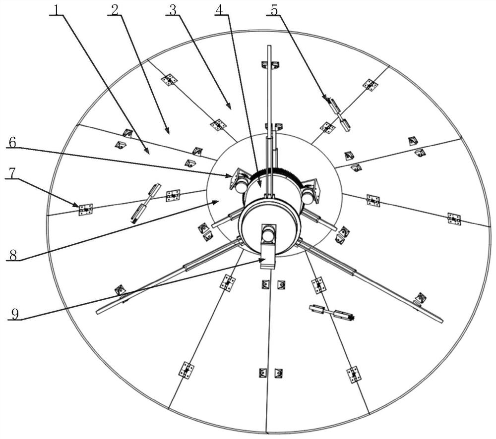 Rope-driven foldable umbrella-shaped antenna