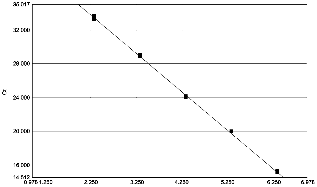 Real-time fluorescent quantitative RT-PCR detection primer, probe and kit for Palyamserogroup virus