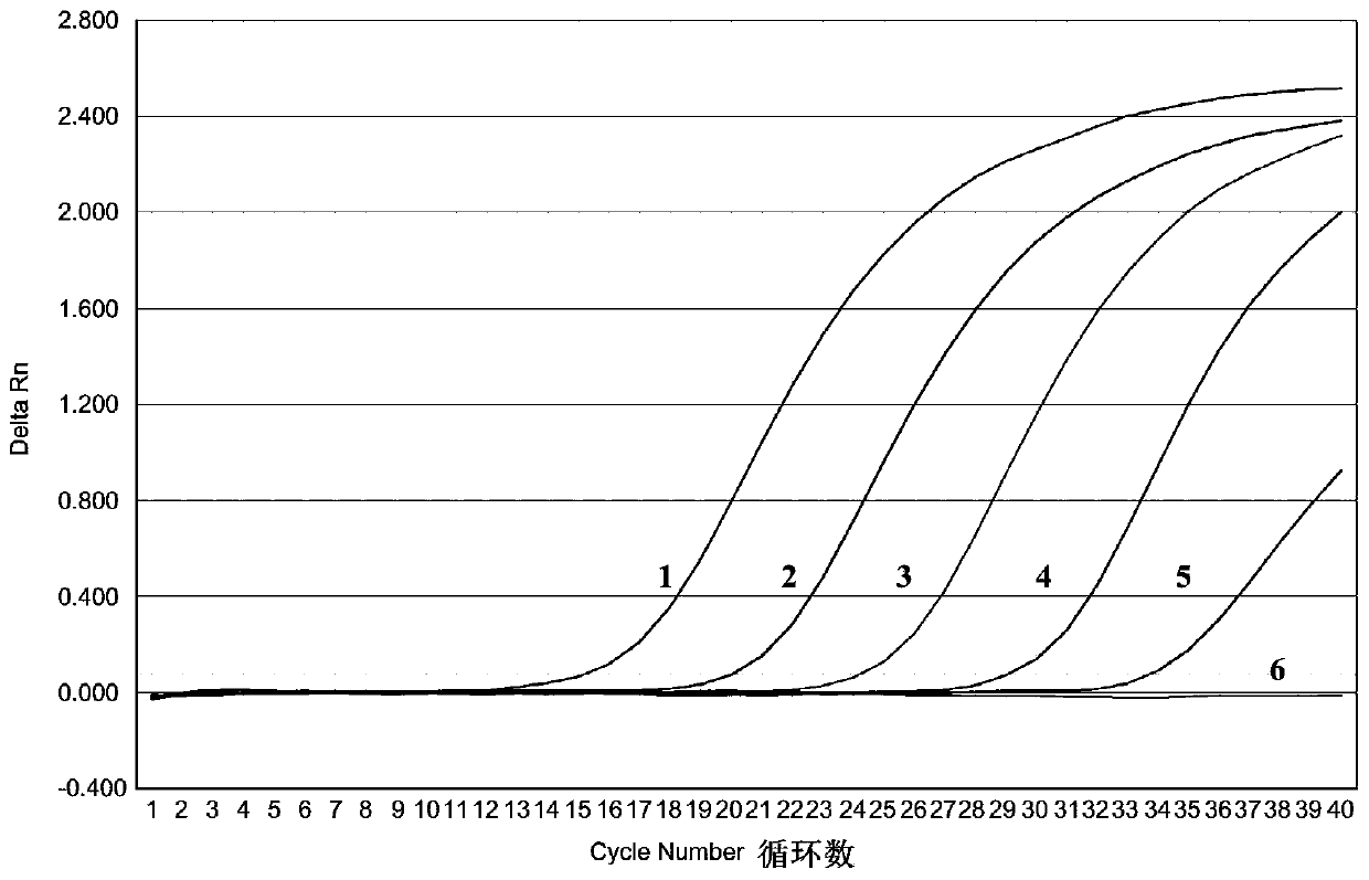 Real-time fluorescent quantitative RT-PCR detection primer, probe and kit for Palyamserogroup virus