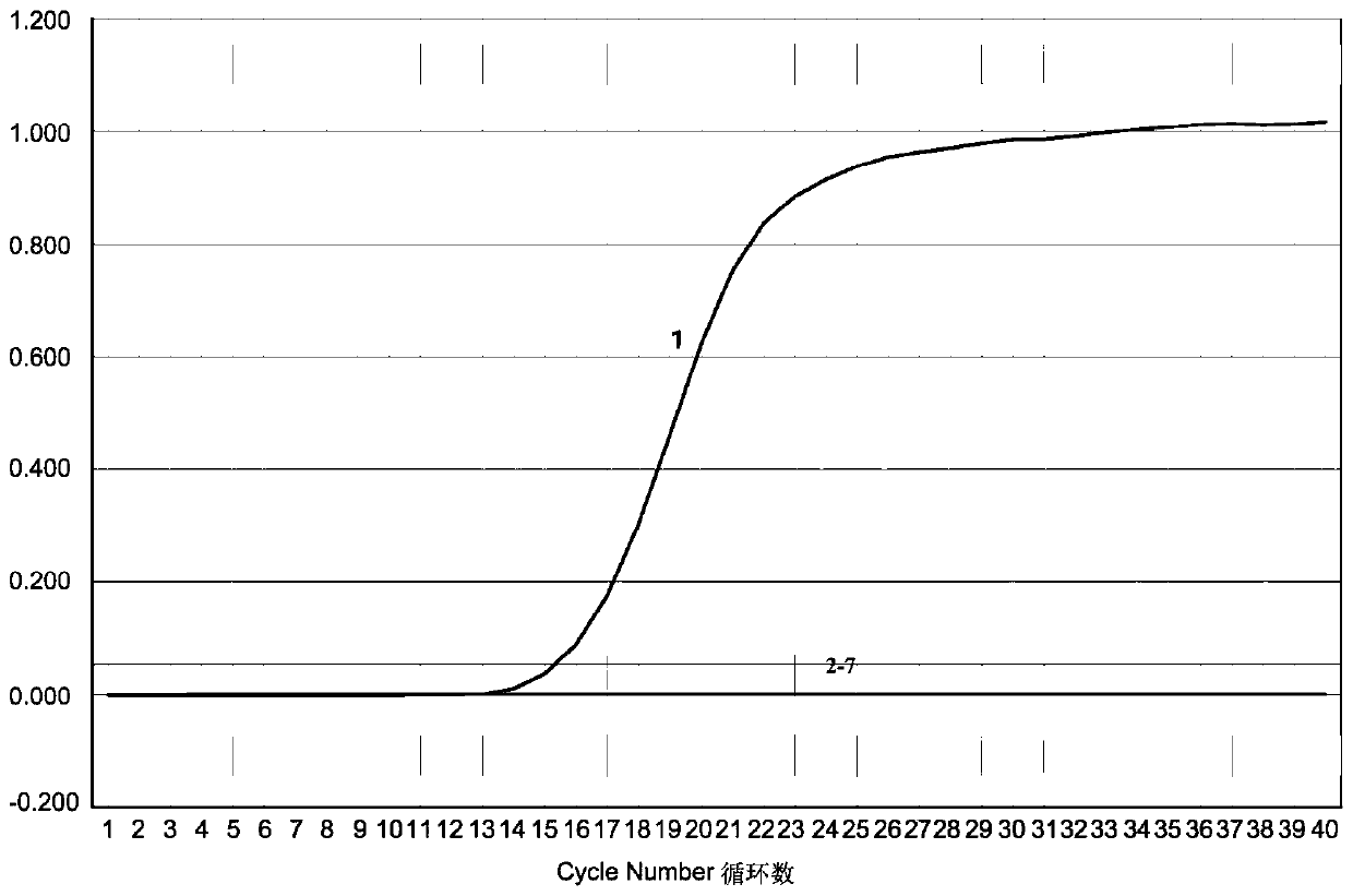 Real-time fluorescent quantitative RT-PCR detection primer, probe and kit for Palyamserogroup virus