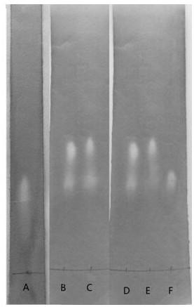 A kind of cellulose chiral derivative and its preparation method and use