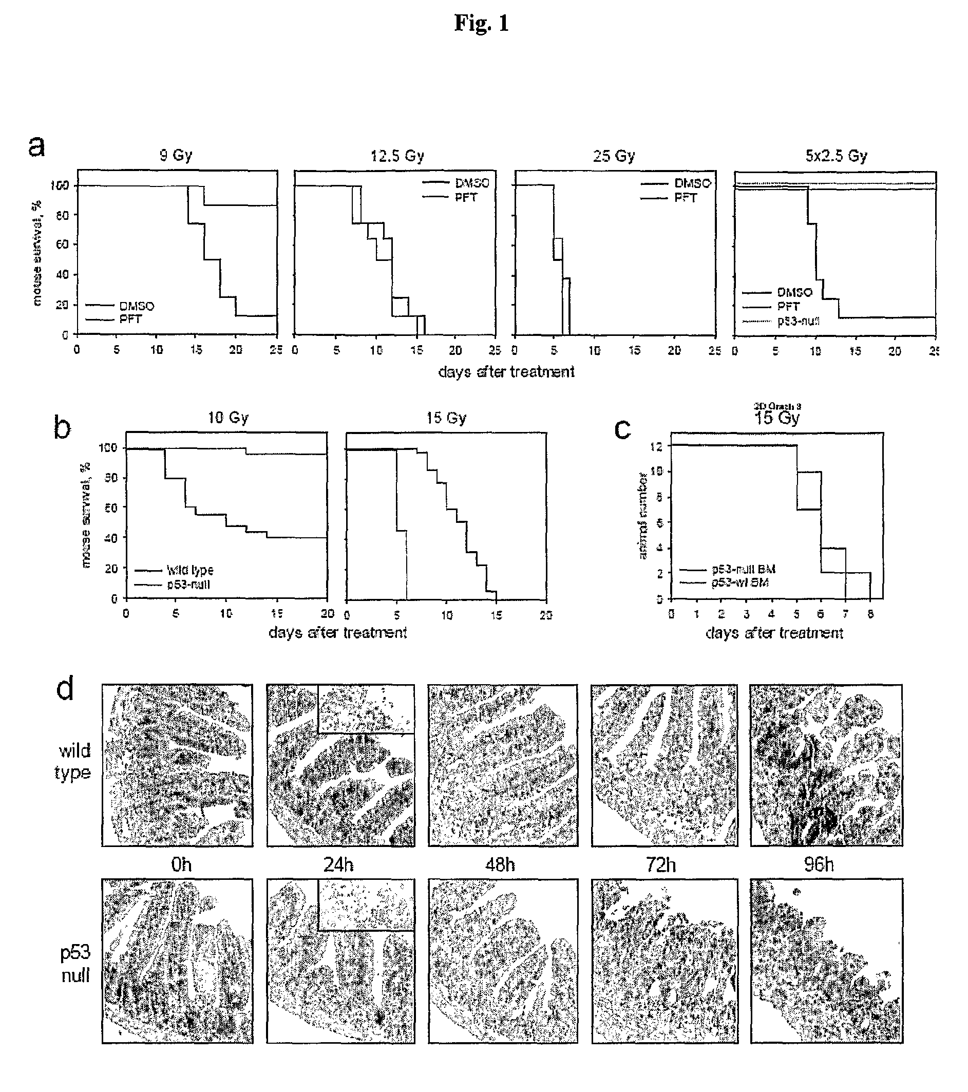 Flagellin related polypeptides and uses thereof