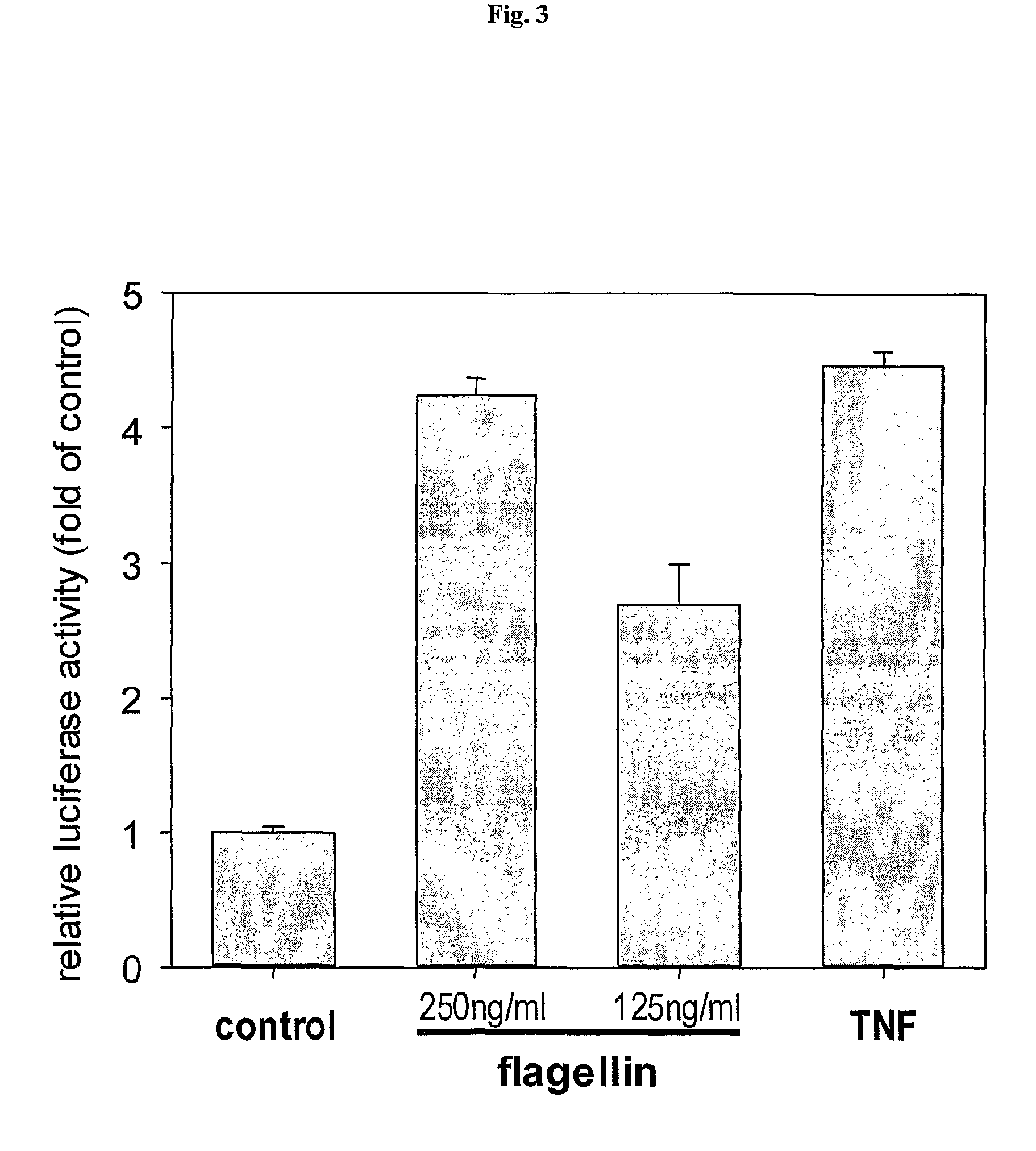 Flagellin related polypeptides and uses thereof