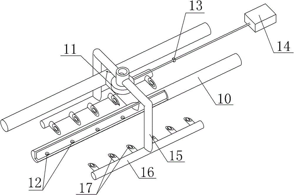 Animal transportation case