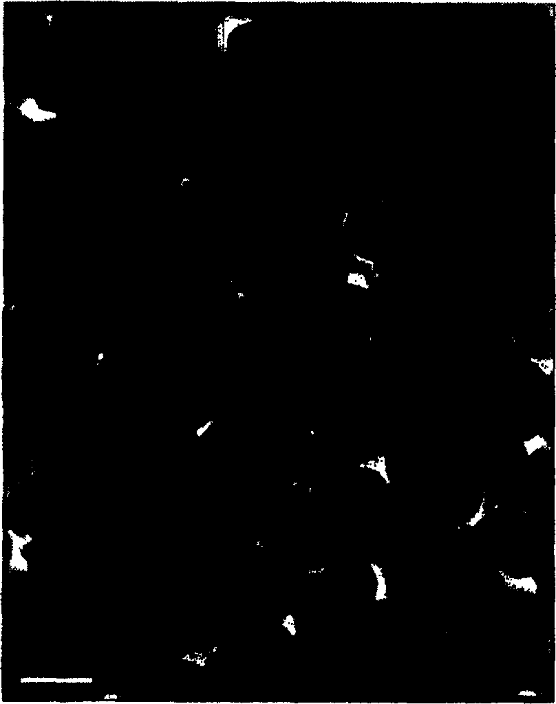 Prepn process of nano copper iodide powder