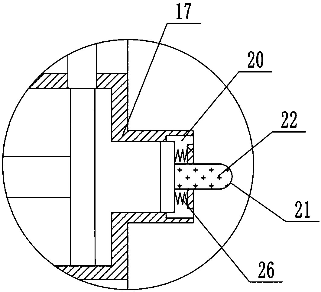 Nut washing apparatus