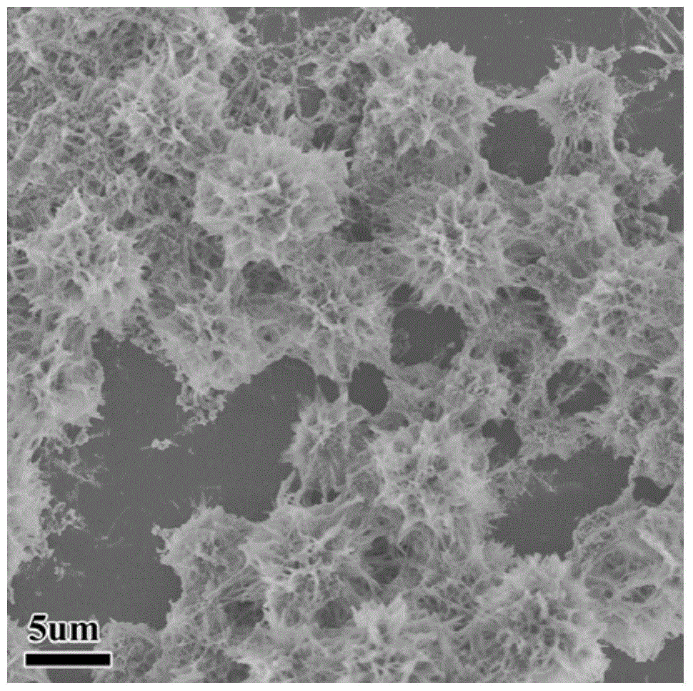 Cadmium selenide flower-like microspheres composed of nanosheets with hydrophilic surface, preparation method and application thereof