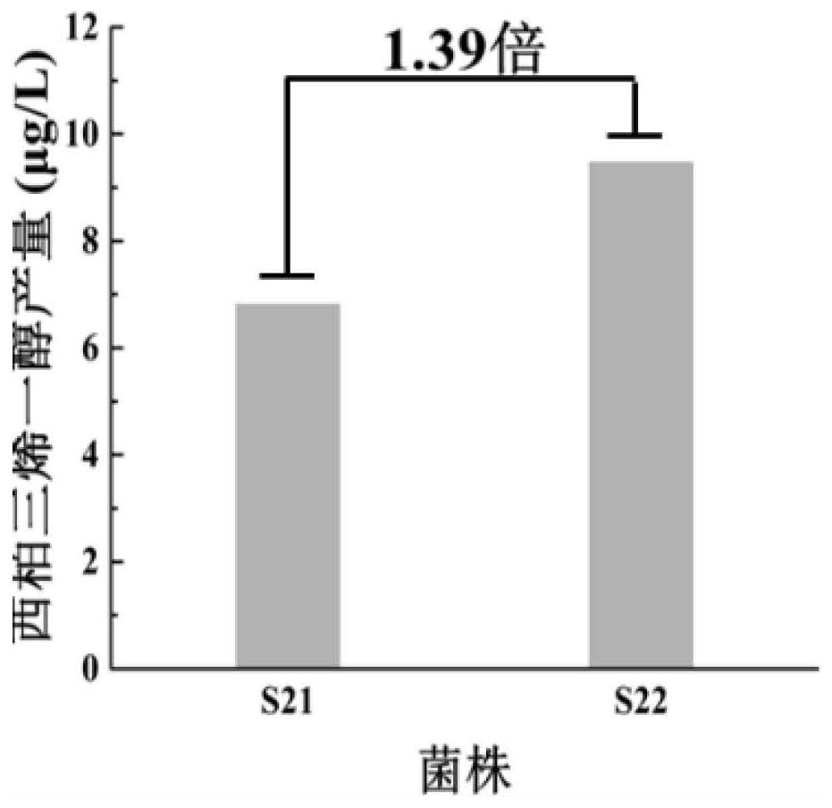 Construction method and application of saccharomyces cerevisiae for producing cembratrienol