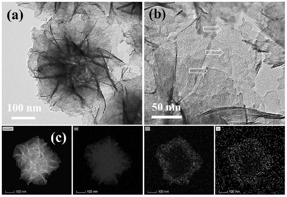 Palladium-palladium-tungsten-chromium nano-catalyst and preparation method and application thereof