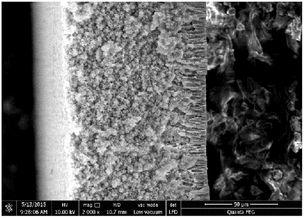 Easy-to-wash PVDF (polyvinylidene fluoride) ultrafiltration membrane and preparation method thereof