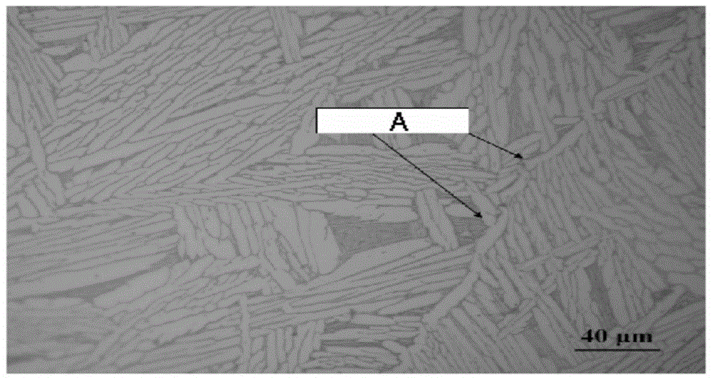 Device and method for counter-gravity casting of solidification process controlled titanium-based alloy