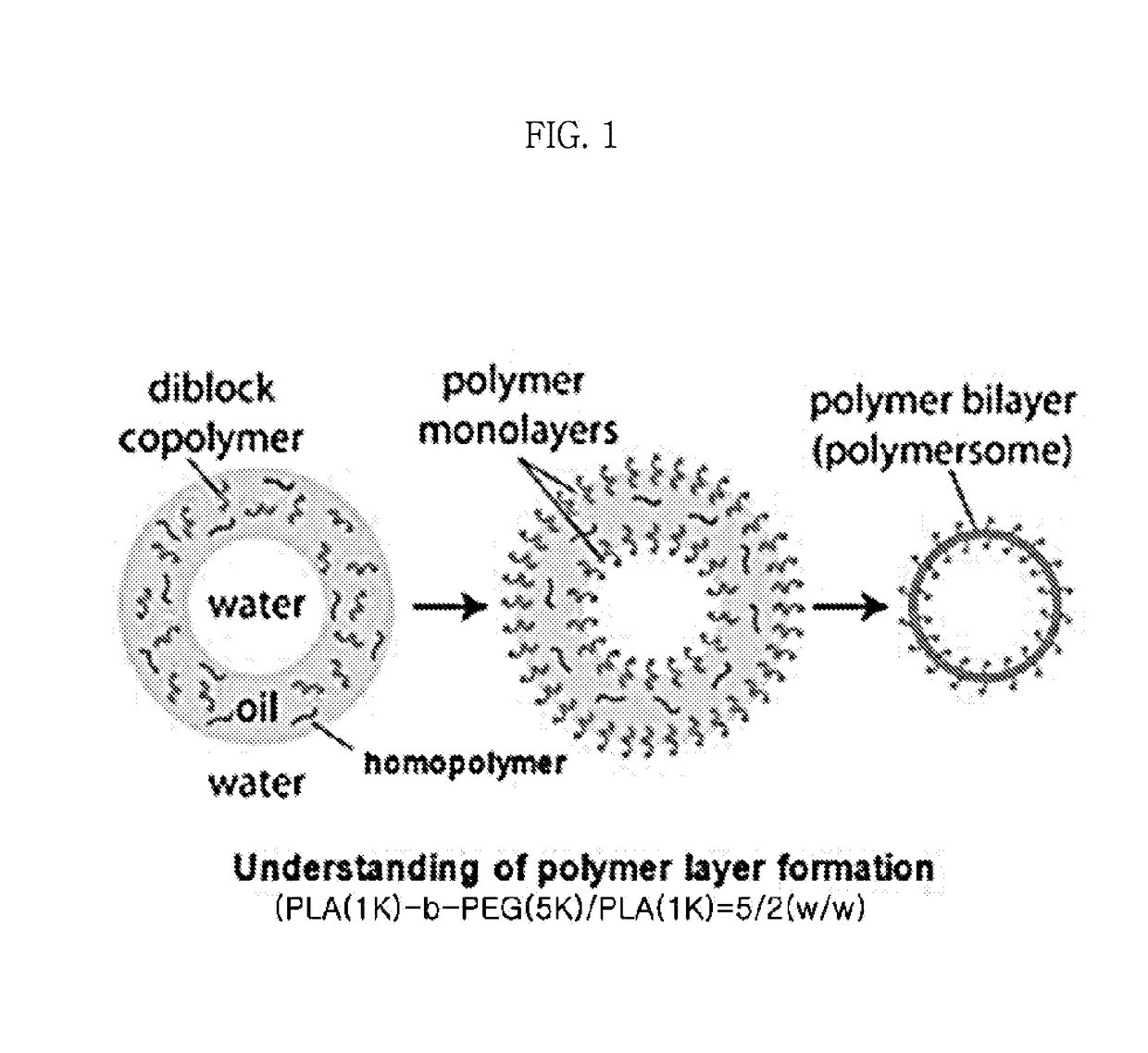 Cosmetic composition for improving skin elasticity