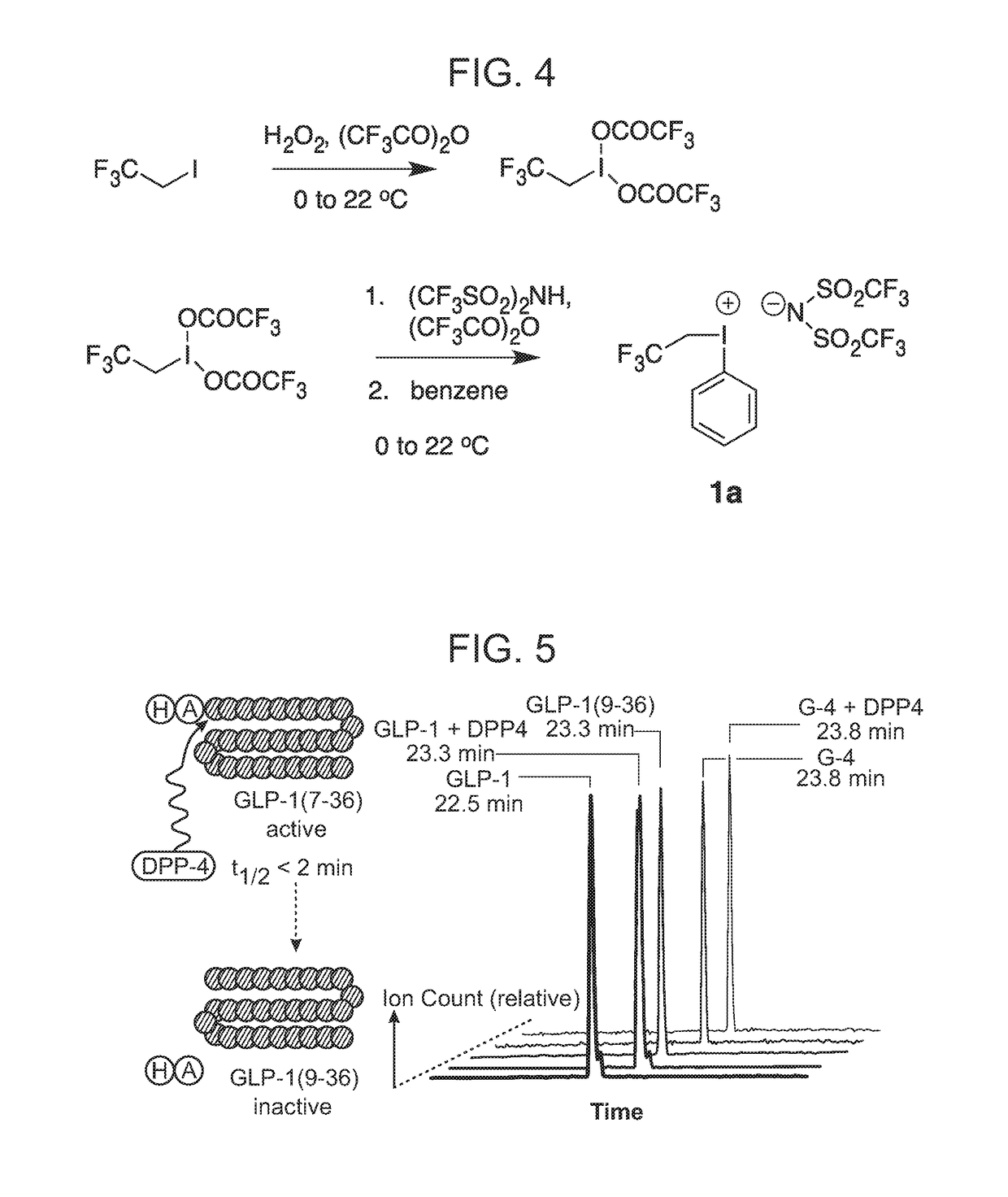 Novel polypeptides with improved proteolytic stability, and methods of preparing and using same