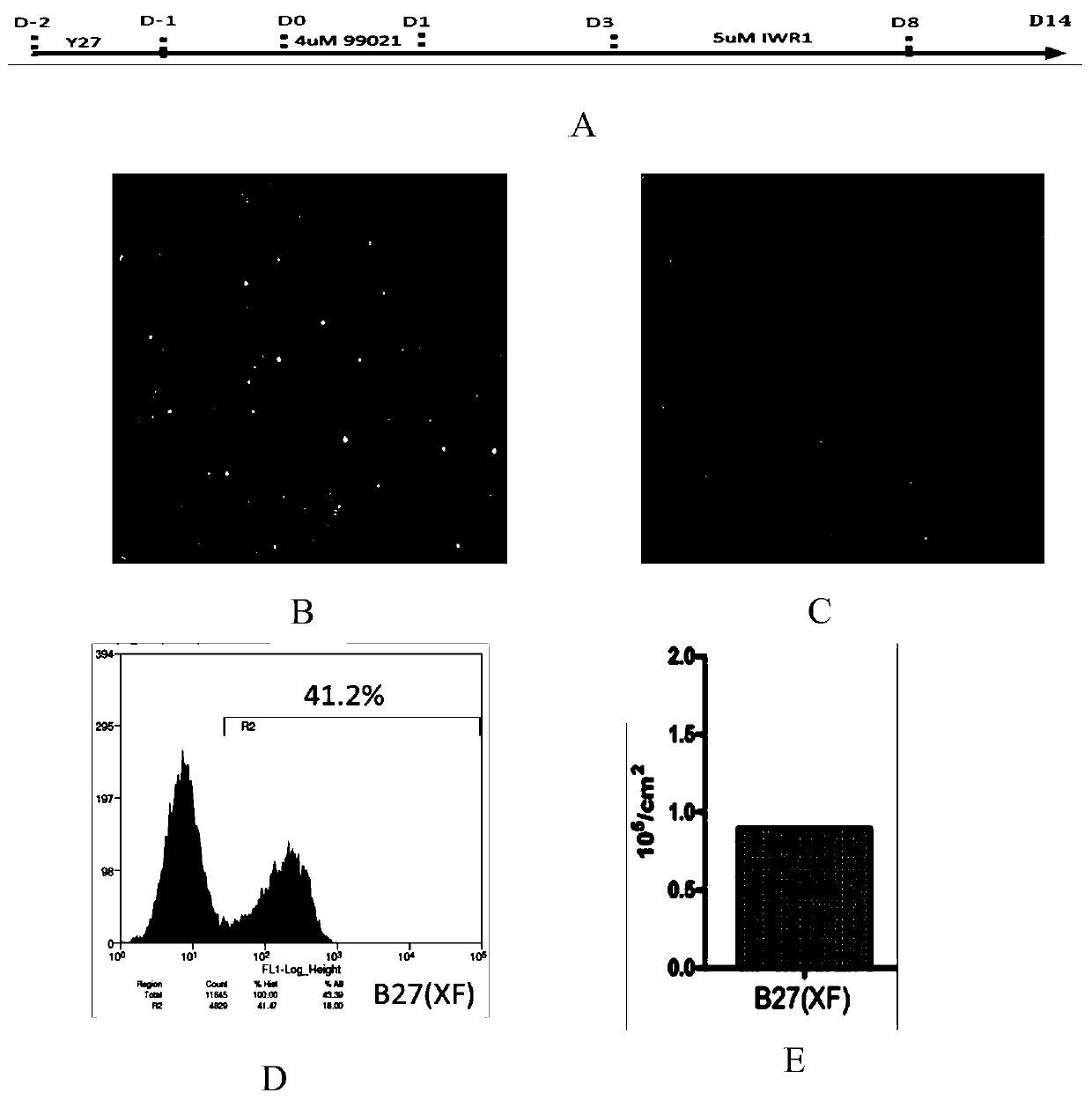 A medium for inducing embryonic stem cells into cardiomyocytes and its application