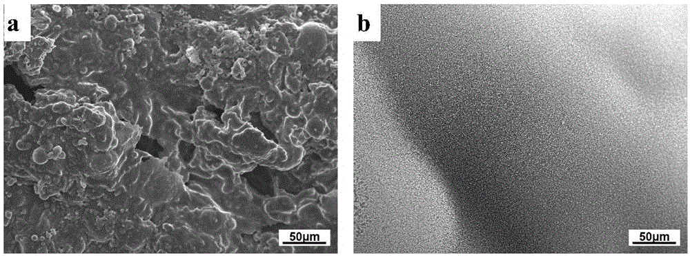 Biology base air source and flame retardant polyolefin compound formed by biology base air source