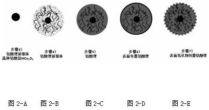 Preparation method and application of lithium cobalt oxide with pre-lithiated core-shell structure