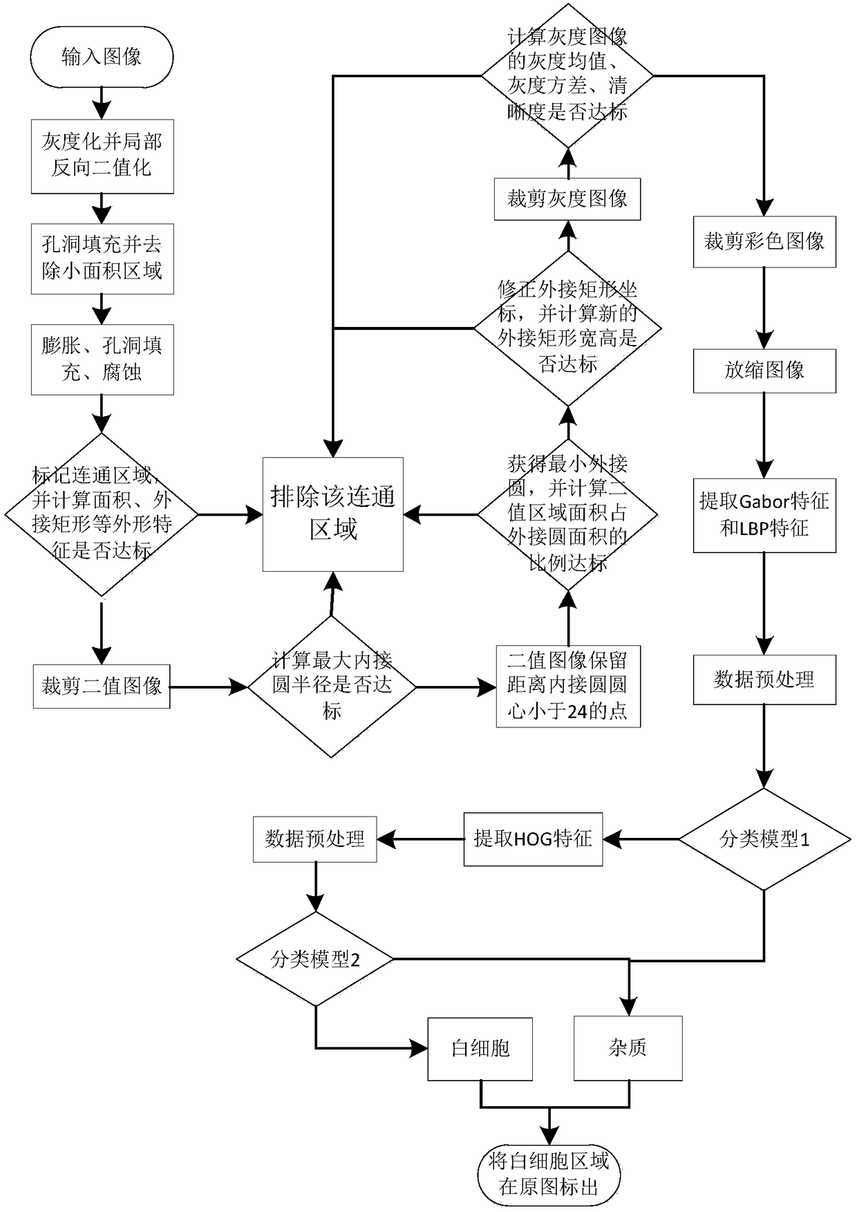 Human feces leukocyte automatic recognition method based on machine learning